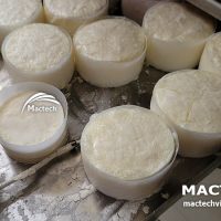 Máy sấy thăng hoa sữa chua Mactech