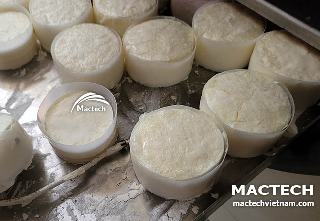 Máy sấy thăng hoa sữa chua Mactech