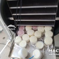 Sữa chua sấy thăng hoa