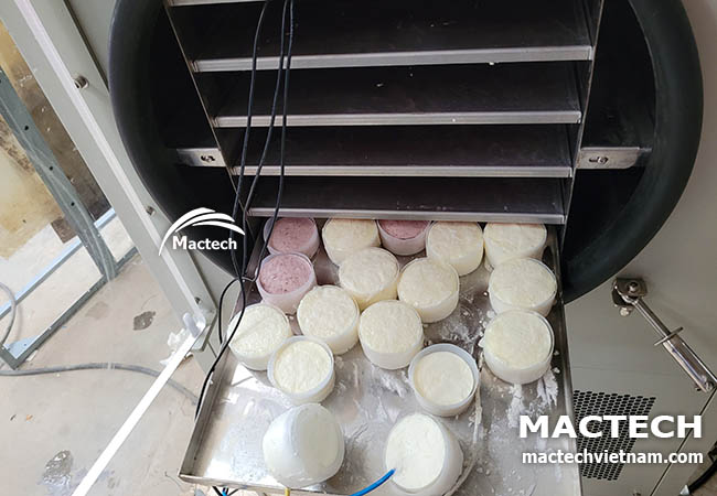 Sữa chua sấy thăng hoa