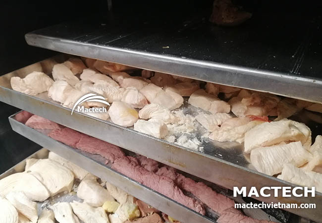 Máy sấy thăng hoa thịt bò Mactech