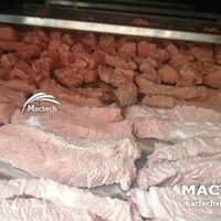Máy sấy thăng hoa thịt bò Mactech