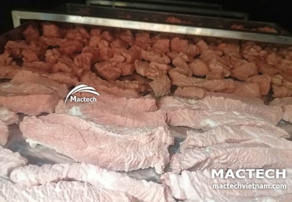 Máy sấy thăng hoa thịt bò Mactech