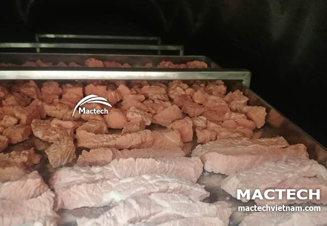 Máy sấy thăng hoa thịt bò Mactech