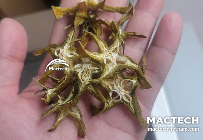 Khế sấy khô làm trà