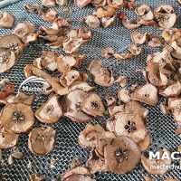 Táo mèo sấy khô