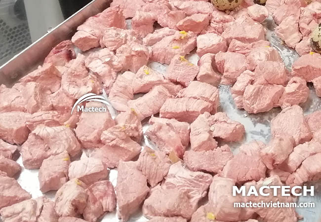 Thịt bò sấy đông khô