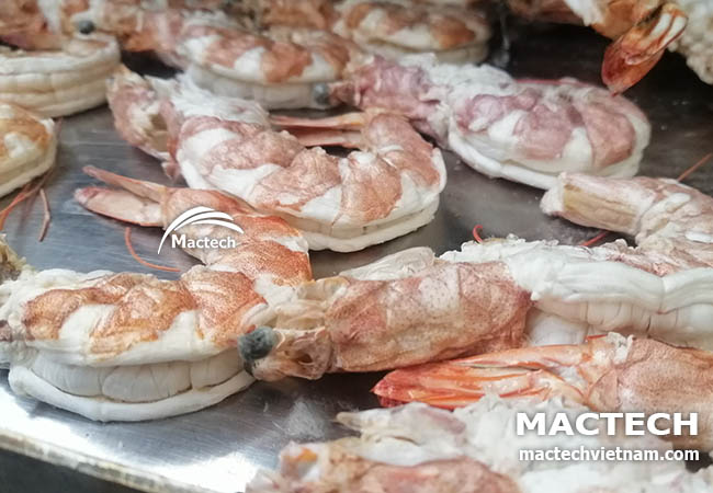 Máy sấy tôm khô