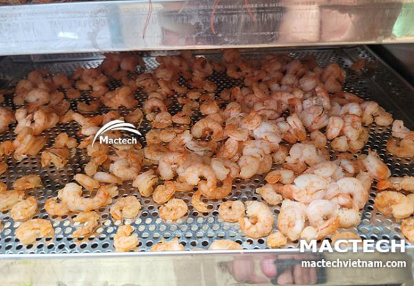 Máy sấy tôm khô