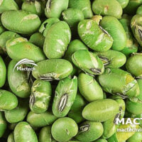Đậu xanh sấy giòn để nghiền bột