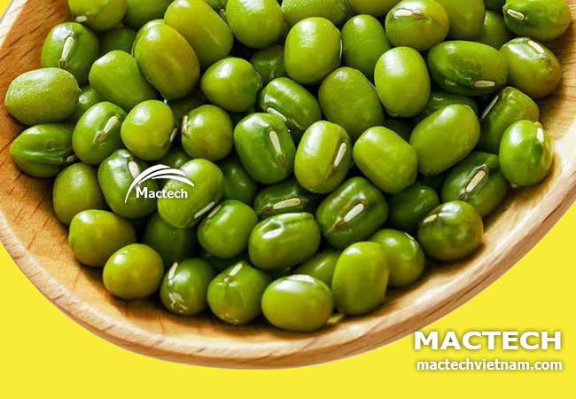 Máy sấy khô hạt đậu xanh