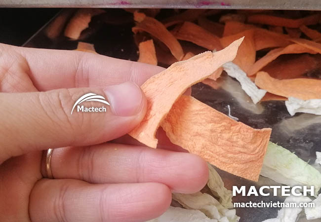Nên dùng máy sấy nào để sấy khô cà rốt