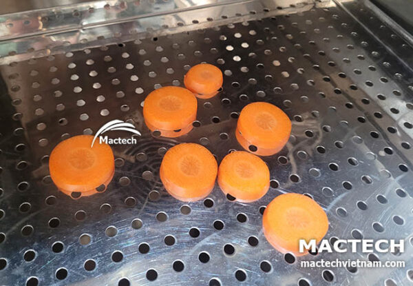 Nên dùng máy sấy nào để sấy khô cà rốt