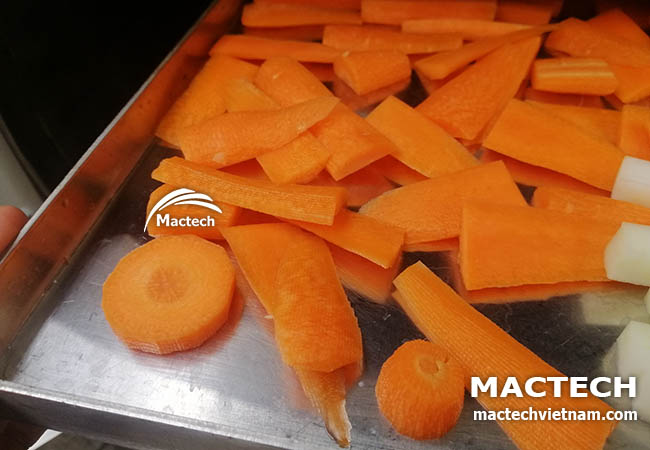 Nên dùng máy sấy nào để sấy khô cà rốt