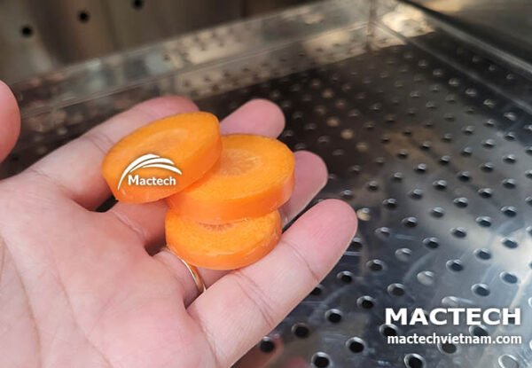 Nên dùng máy sấy nào để sấy khô cà rốt
