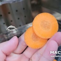 Cà rốt